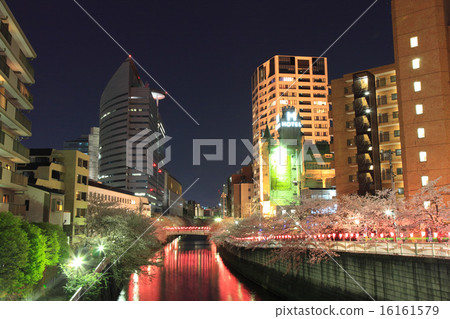Meguro River Sakura Festival Meguro Shimbashi Downstream Meguro River Sakura Festival Meguro Shimbashi Downstream 16161579