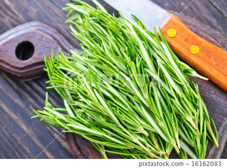 rosemary rosemary 16162083