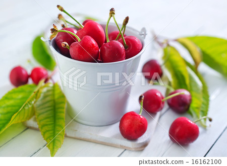 cherry cherry 16162100
