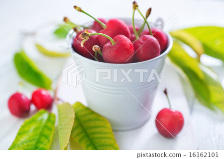 cherry cherry 16162101