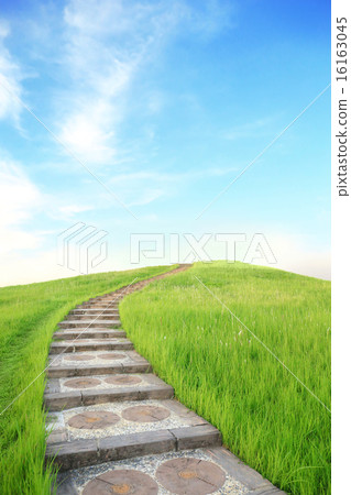 green grass and up stairs 16163045