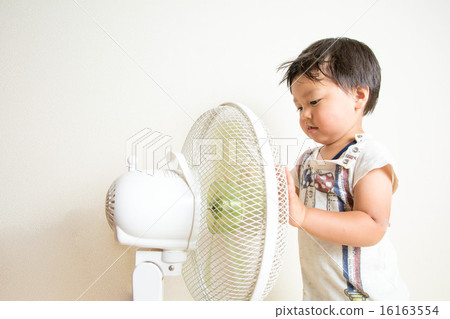 Fan and boys 16163554