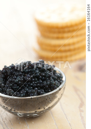 black caviar black caviar 16164164