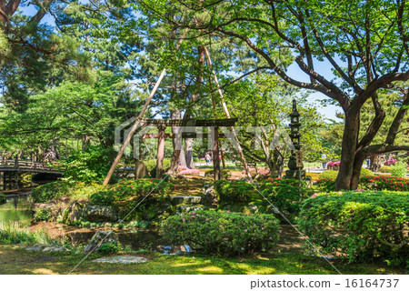 金澤Kenrokuen Gakuen（Sakirei）島 16164737