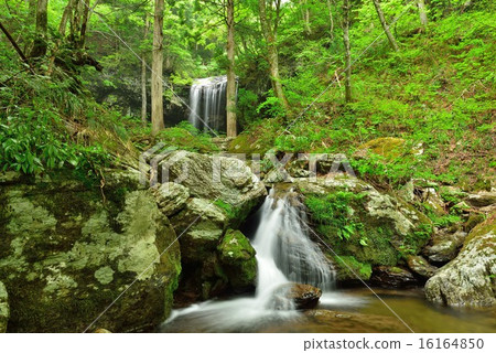岩井瀑布 岩井瀑布 16164850