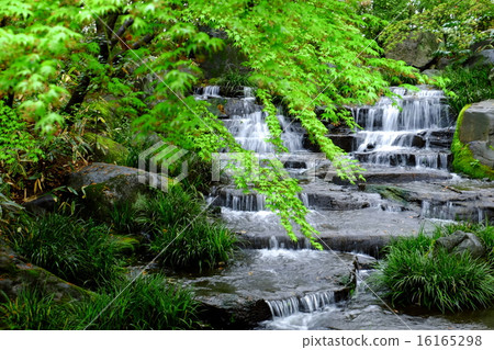 Fresh green Fresh green 16165298