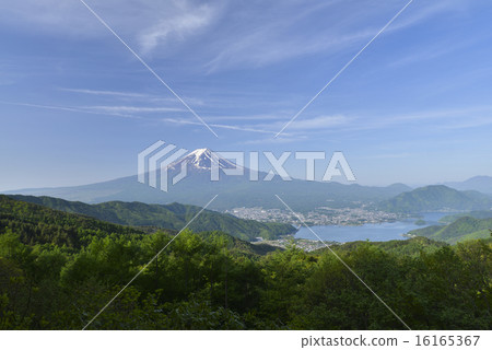 Fuji view from the Nishikawa forest road of fresh green 16165367