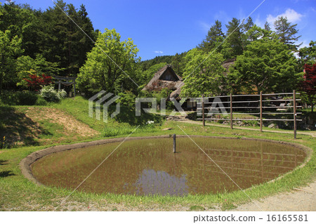 Hida no Sato的新鮮綠色 16165581