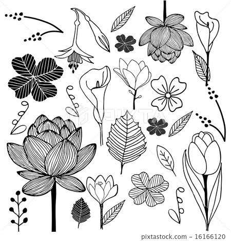 flower and leaf hand drawn sketch doodle black  16166120