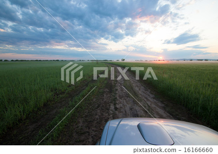 A car is going fishing and meets the sunrise A car is going fishing and meets the sunrise 16166660