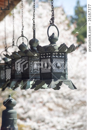 Daisan Shrine Fishing Lantern 16167377