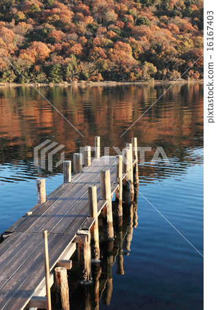 Autumn leaves and pier on the lake 16167403