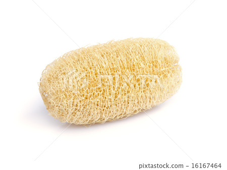 luffa sponge. luffa sponge. 16167464