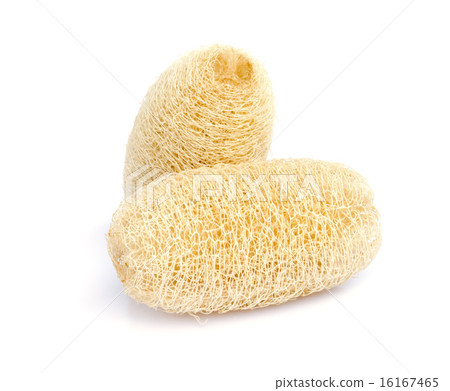 luffa sponge. luffa sponge. 16167465