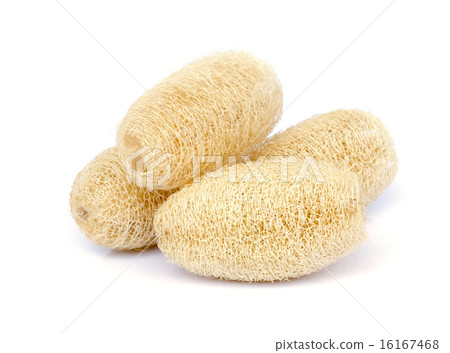 luffa sponge. luffa sponge. 16167468