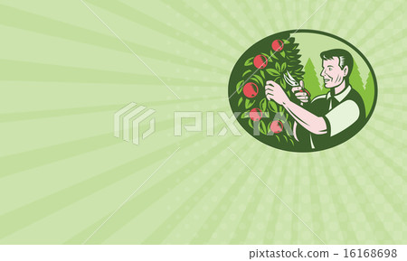 Business card Horticulturist Farmer Pruning Fruit Business card Horticulturist Farmer Pruning Fruit 16168698