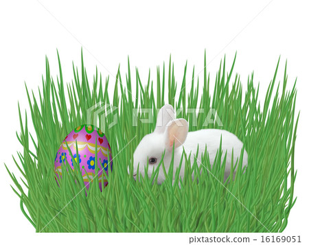 Easter eggs on grass isolated on white background 16169051