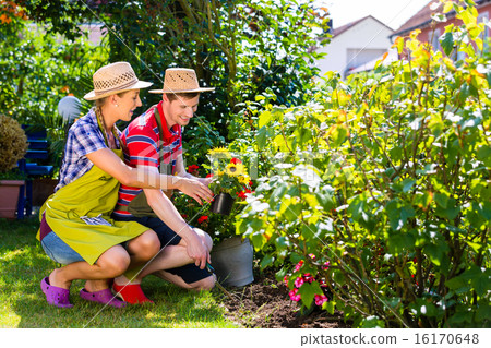 图库照片 couple in garden planting flowers