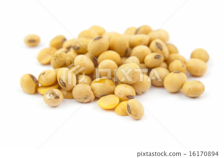 soybean 16170894