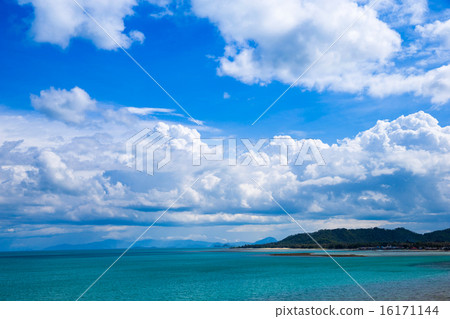 sea 16171144