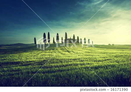 Tuscan views in spring sunset time,  Pienza, Italy 16171390