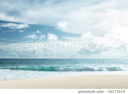 tropical beach 16171414
