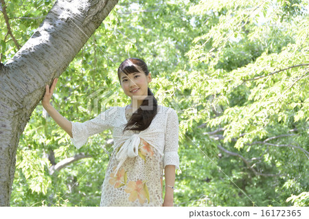 Touch the fresh green and the female tree 16172365