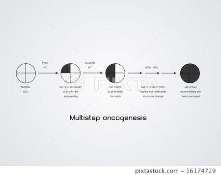 Multistep oncogenesis 16174729