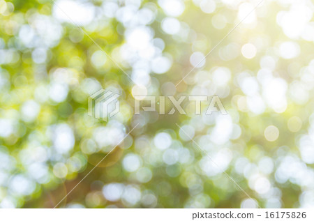 Bokeh background Bokeh background 16175826