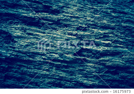 Old Wood Tree Background and Texture Pattern Old Wood Tree Background and Texture Pattern 16175973