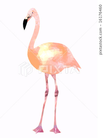 Natural pale pink flamingo low poly  vector 16176460