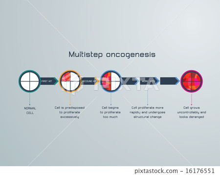vector illustration of the  Multistep oncogenesis 16176551