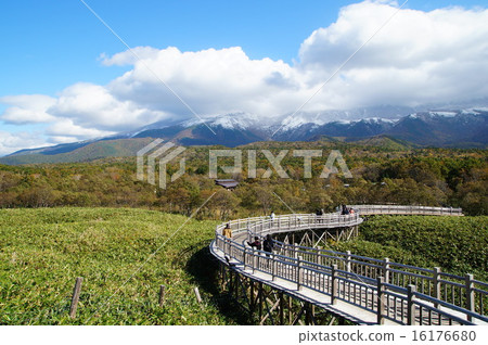 Shiretoko in autumn Shiretoko in autumn 16176680