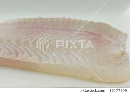 Striped strip of strips 16177299