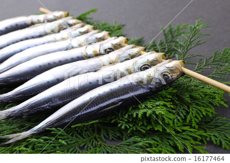 沙丁魚乾 16177464