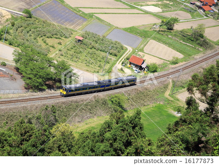 Tsuwano Tsuwano 16177873