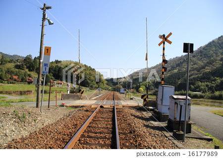 Yamaguchi Line 16177989