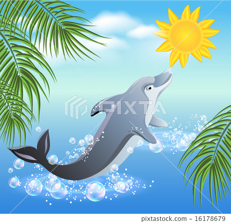 Dolphins and sun Dolphins and sun 16178679