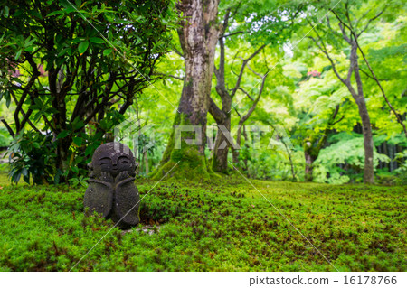 京都Kokkoji日本花園 16178766