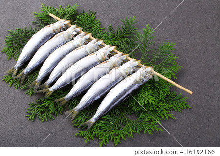 一個有趣的客廳 16192166