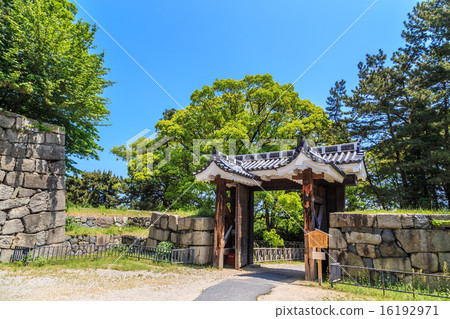 名古屋城堡（重要的文化財產）新鮮綠色耀眼的老Ninomaru名古屋門 16192971