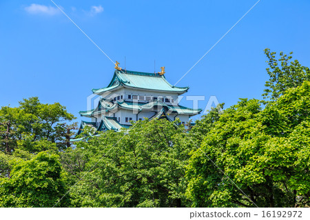 新鮮的綠色耀眼的名古屋城堡 新鮮的綠色耀眼的名古屋城堡 16192972