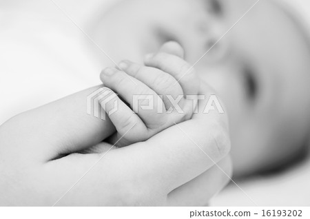 the mother holds hand of her baby 16193202