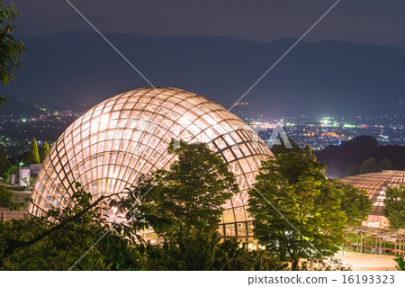 Yamanashi Prefecture, New Japan's Three Night Views [Night view from Fuefukigawa Fruit Park] 16193323