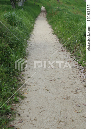 Nochi no Oji 16193385