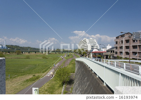 在朝鮮橋附近騎自行車·多摩自行車道 在朝鮮橋附近騎自行車·多摩自行車道 16193974