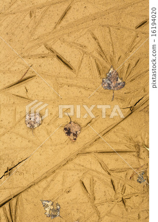 Dry soil 16194020