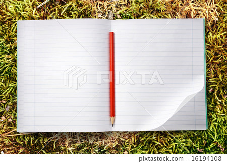 Notebook with pencil 16194108