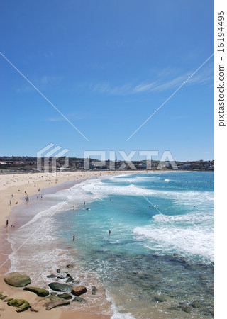 邦迪海灘 16194495