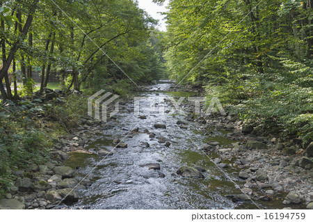 Small mountain river 16194759